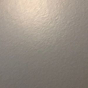 Meet your Posher, Riley